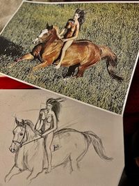 Skizze Pferd Akt Bleistift